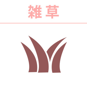 雑草