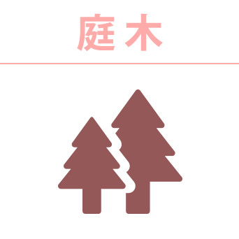 庭木