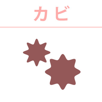 カビ